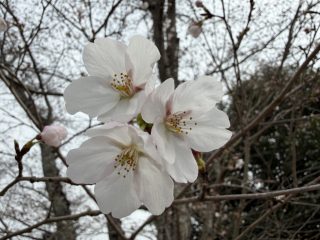 行くぜ!アフター万博! ~鳥取横断 その 1 ~