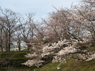 境台場公園と海とくらしの史料館　～鳥取横断 その 2 ～