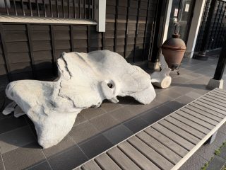 境台場公園と海とくらしの史料館　～鳥取横断 その 2 ～