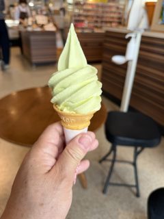やっぱり鳥取砂丘 ~鳥取横断 その 12 ~