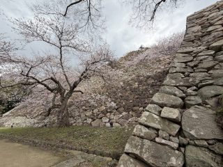 鳥取城址　～鳥取横断 その 13 ～