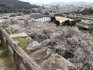 鳥取城址　～鳥取横断 その 13 ～