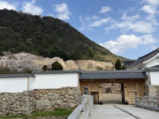 鳥取城址　～鳥取横断 その 13 ～