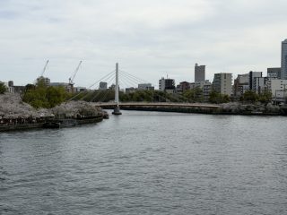 南天満公園でお花見