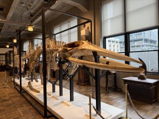 インターメディアテク ～東京遠征 その 8 ～