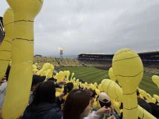今日は雨の甲子園で今期初勝利！