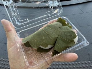 一日乗車券を使い倒す ～ その 2 ～