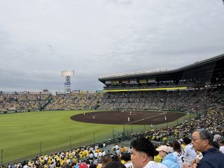 今日は阪神対西武＠甲子園