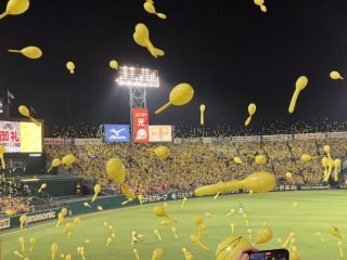 今日は阪神対西武＠甲子園