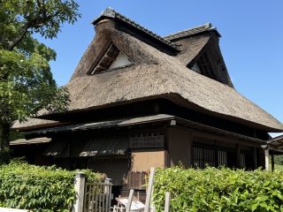 水前寺成趣園 ～熊本へ 2026 その 4 ～