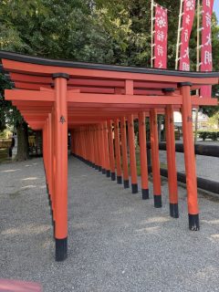水前寺成趣園 ～熊本へ 2026 その 4 ～