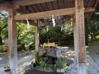 水前寺成趣園 ～熊本へ 2026 その 4 ～