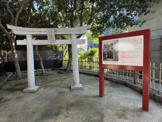 水前寺成趣園 ～熊本へ 2026 その 4 ～