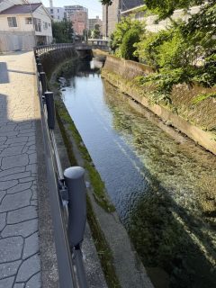 熊本県庁周りへ ~熊本へ 2026 その 5 ~