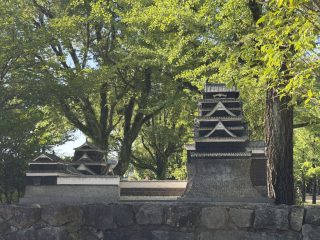 熊本県庁周りへ ~熊本へ 2026 その 5 ~