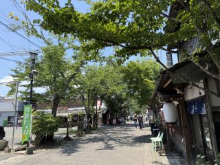 阿蘇神社 ~熊本へ 2026 その 9 ~