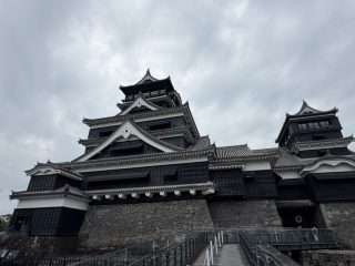 最終日に熊本城 ~熊本へ 2026 その 16 ~