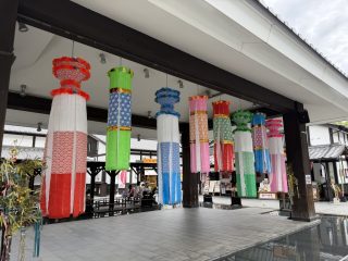 城彩苑 桜の小路にて ~熊本へ 2026 その 19 ~