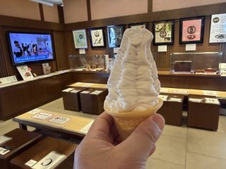 城彩苑 桜の小路にて ~熊本へ 2026 その 19 ~