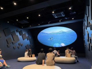 シャチ堪能 ~須磨 その 10 ~