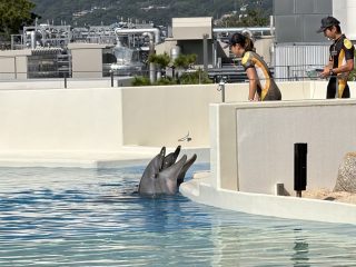 朝食の後、ホテル内散策 ~須磨 その 4 ~
