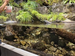 アクアライブ ～須磨 その 5 ～