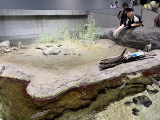 アクアライブ ～須磨 その 5 ～