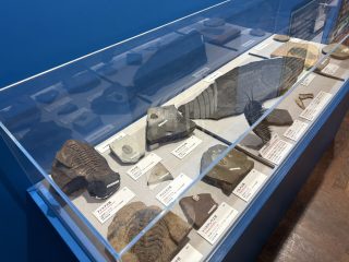 大絶滅展