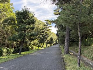伏見散策 2026 秋 ~その 1 ~