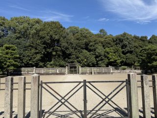 伏見散策 2026 秋 ~その 1 ~
