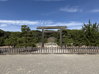 伏見散策 2026 秋 ～その 3 ～