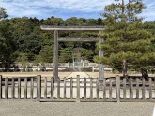 伏見散策 2026 秋 ～その 3 ～