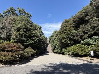 伏見散策 2026 秋 ～その 3 ～